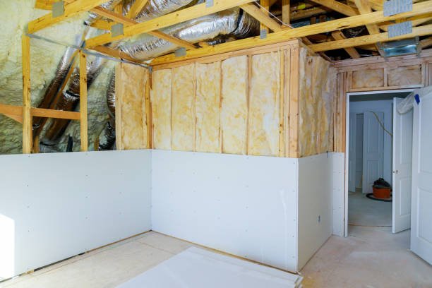 Best Eco-Friendly Insulation in Woodstock, GA