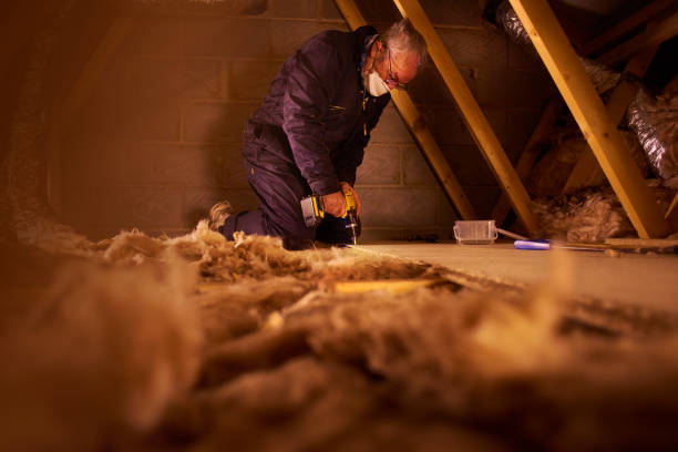 Best Blown-in Insulation in Woodstock, GA